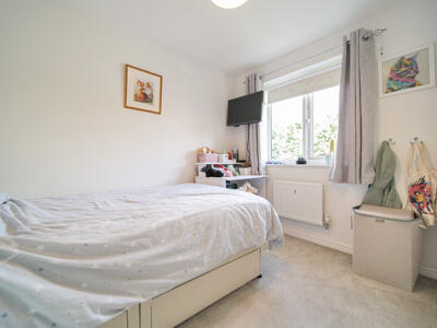 Picture 15